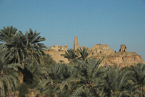 Siwa, oracle with medieval minaret
