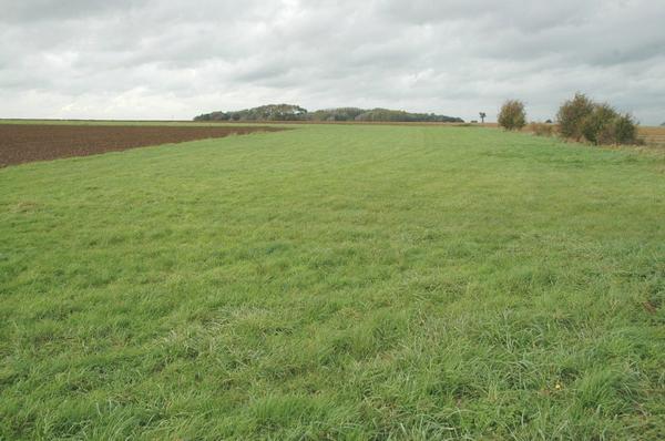 Sabis battlefield, center, north