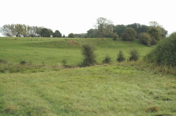 Sabis battlefield, Bois de Montrecourt