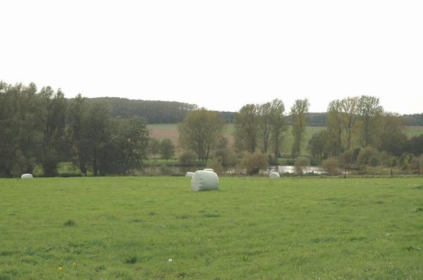 Sabis battlefield, main theater, seen from east to west