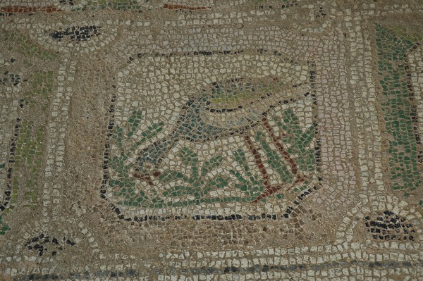 Amphipolis, Basilica A, Mosaic, Detail, Bird