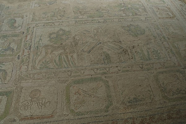 Amphipolis, Basilica A, Mosaic, Detail (2)
