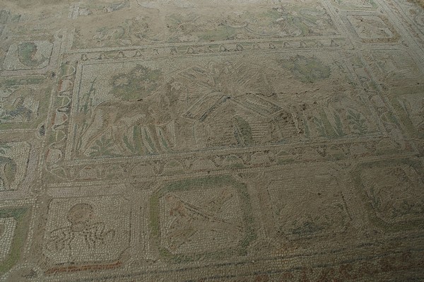 Amphipolis, Basilica A, Mosaic, Detail (2)