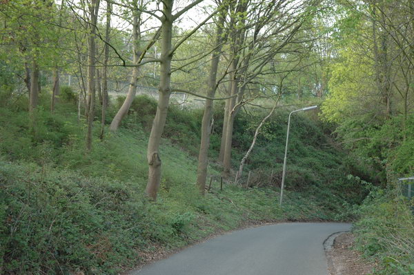 Nijmegen-Hunerberg, Northeastern slope