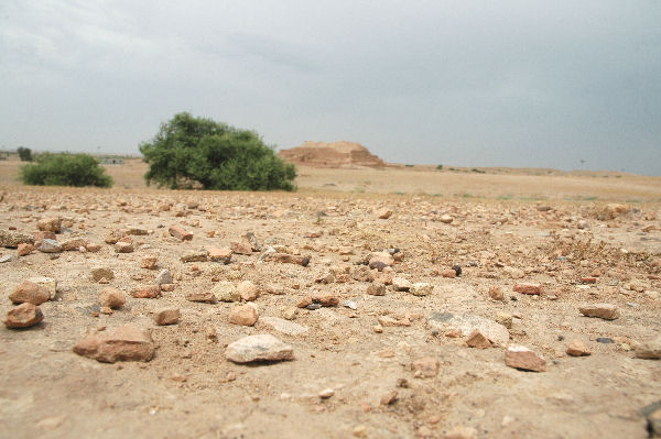 Choga Zanbil, Outer Court, Sherds