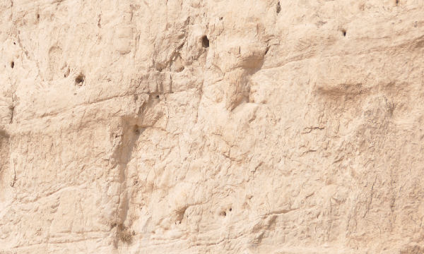 Naqš-e Rustam, Damaged relief of Shapur II