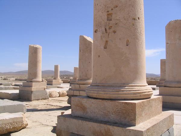 Pasargadae, Palace P, Columns
