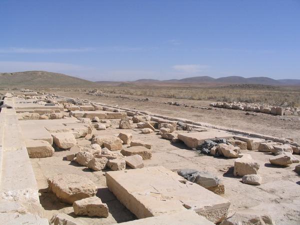 Pasargadae, Palace P, Portico