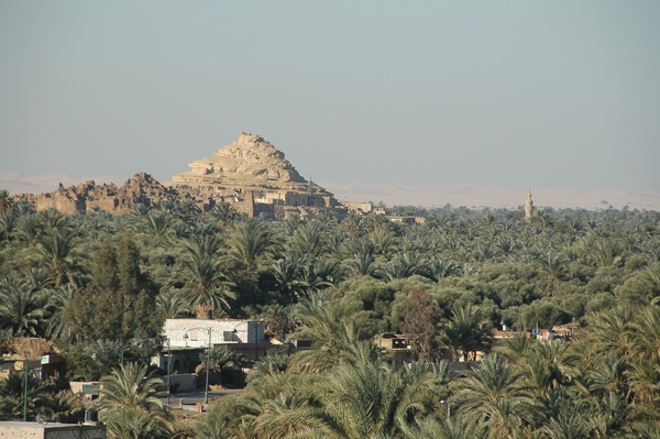 Siwa, General view of the oasis, with a shali