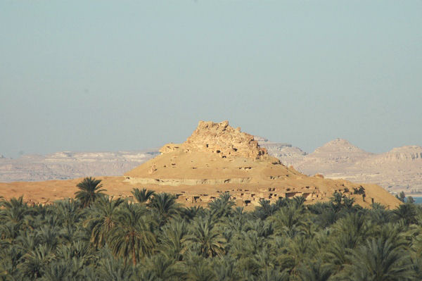 Siwa, A shali fort