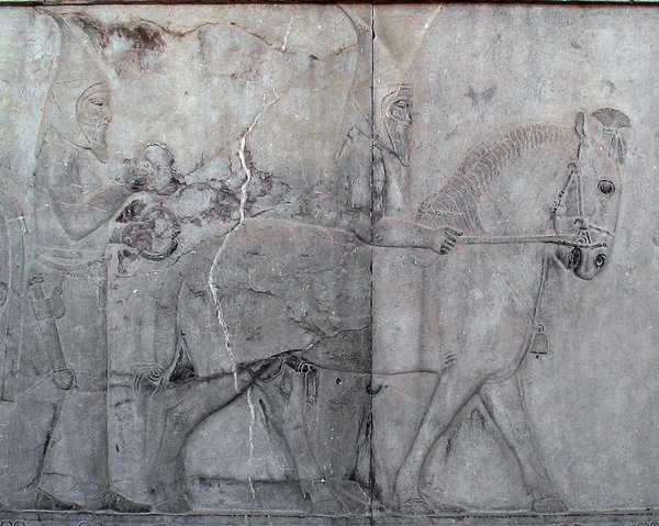 Persepolis, Apadana, East Stairs, Southern part, Sacae (1)