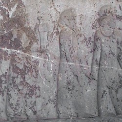 Ancient Relief of Sagartians Tribute Bearers With Lotus Border Persepolis Apadana FG280 - thumbnail 17 sogdians 2 - Ancient Relief of Sagartians Tribute Bearers With Lotus Border Persepolis Apadana FG280