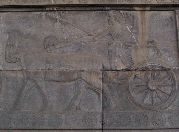 Persepolis, Apadana, East Stairs, northern part, Chariot