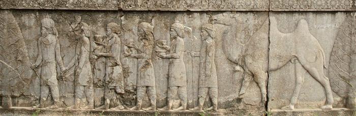 Persepolis, Apadana, North Stairs, Tribute Bearers, Arachosians