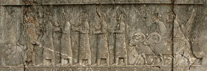 Persepolis, Apadana, North Stairs, Tribute Bearers, Syrians