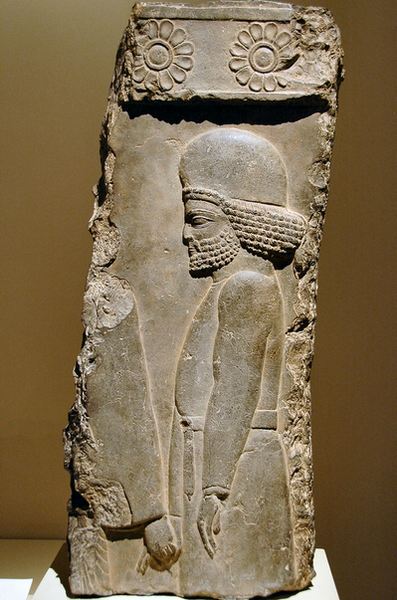 Persepolis, Palace of Darius, Relief of a Mede