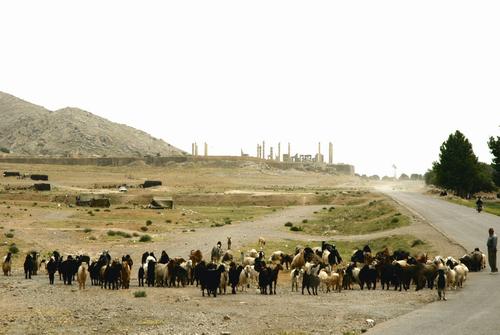 Persepolis, Terrace, seen from the north