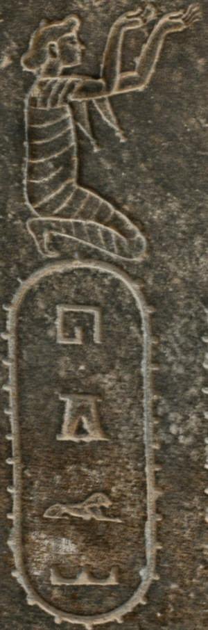 Susa, Statue of Darius, Subject L07, hgr (Arabia)
