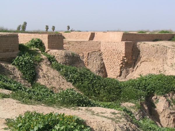 Susa, Palace of Darius, Foundations