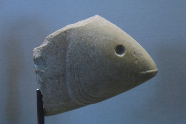 Susa, Stone fish (1)