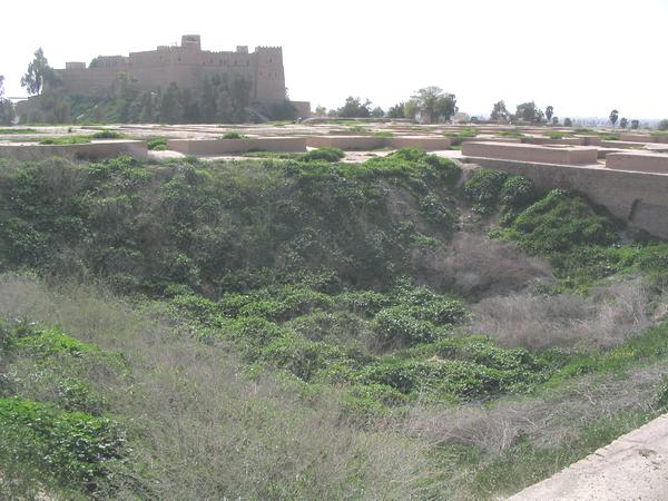 Susa, Palace of Darius, Second Court