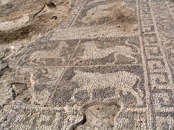 Motya, House of the Mosaics, mosaic (2)