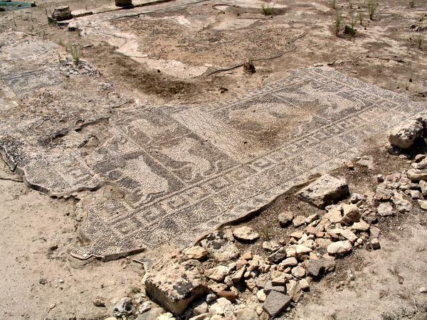 Motya, House of the Mosaics, mosaic (1)