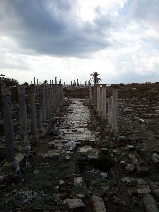 Tyre, City, Octagonal building, Surrounding portico on the southeastern side (2)