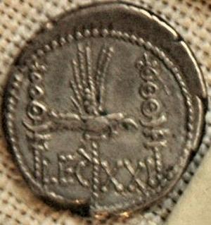 Coin of XXI Rapax