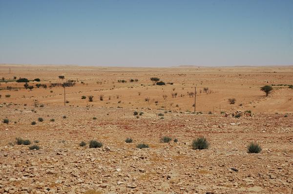 Wadi Ghirza with dams