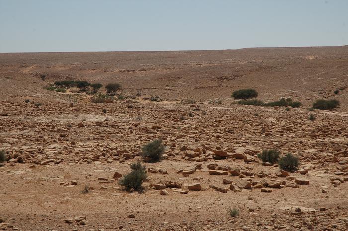 Wadi Ghirza