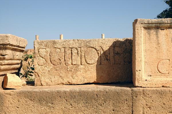 Lepcis Magna, Cardo, Inscription of Scipio