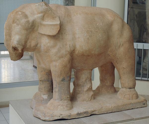 Lepcis Magna, Cardo, elephant