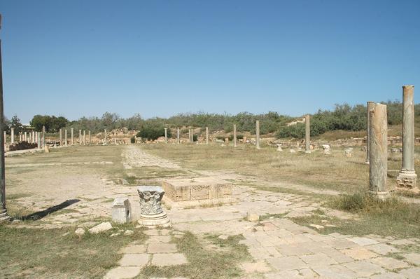 Lepcis Magna, Palaestra (3)