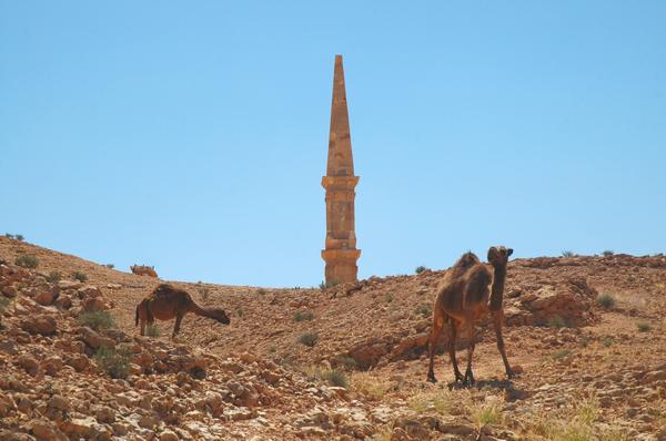 Msletten II, Northern tomb, Dromedaries blocking our approach