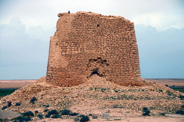 Fortified tower