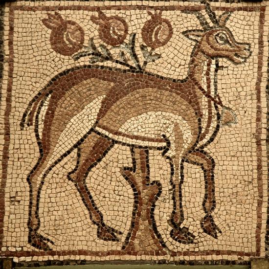 Qasr Libya, mosaic 1.01.a (Antelope)
