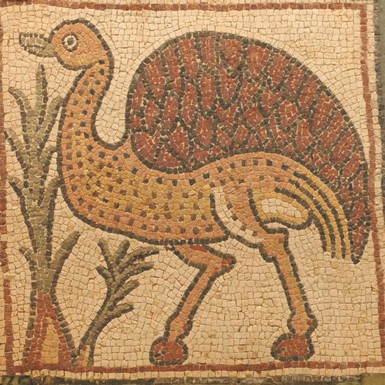 Qasr Libya, mosaic 1.07.e (Ostrich)