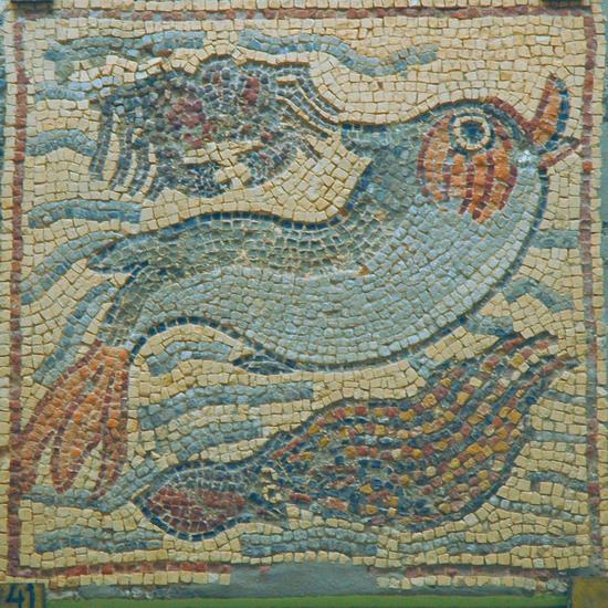Qasr Libya, mosaic 1.09.a (Fish)