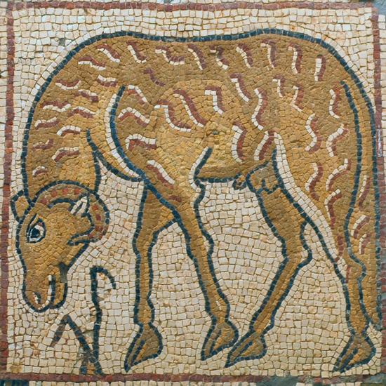 Qasr Libya, mosaic 1.09.d (Ram)