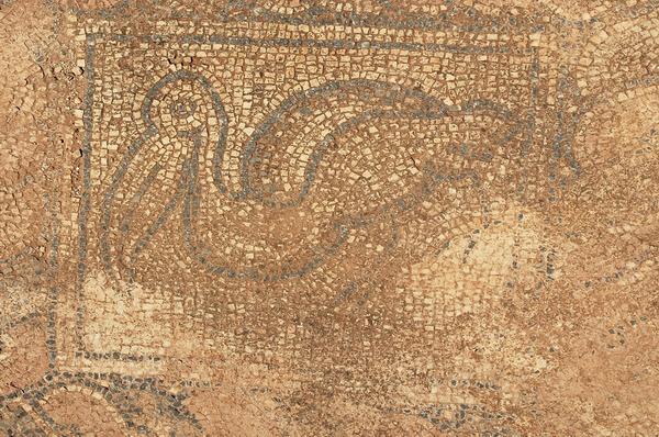 Taucheira, Palace Church, mosaic 8: pelican