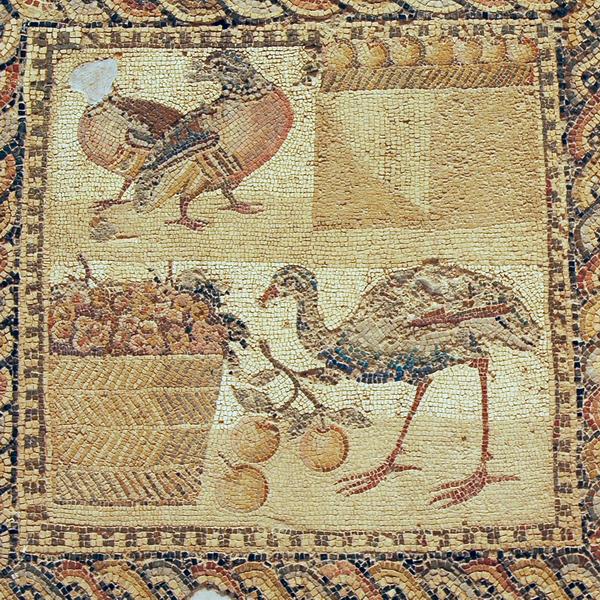 Villa Orpheus, mosaic, row 3, b