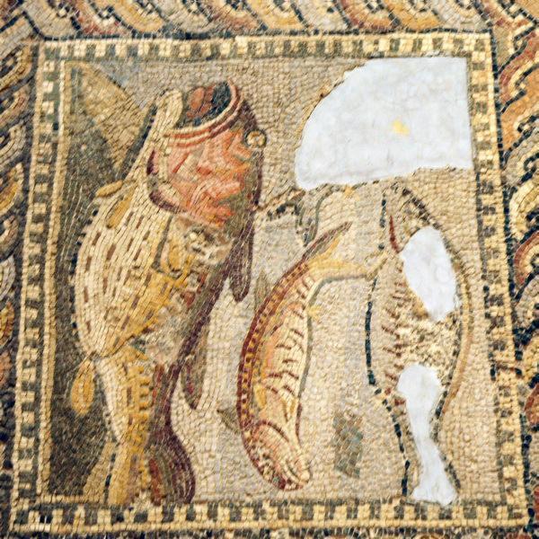 Villa Orpheus, mosaic, row 2, a