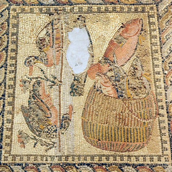 Villa Orpheus, mosaic, row 2, c