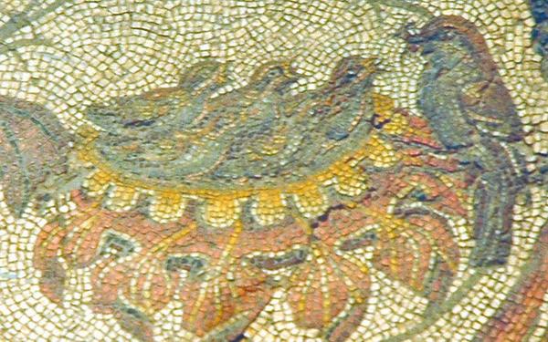 Villa of Dar Buc Ammera, round mosaic (4)