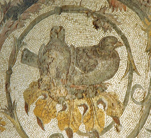 Villa of Dar Buc Ammera, round mosaic (5)