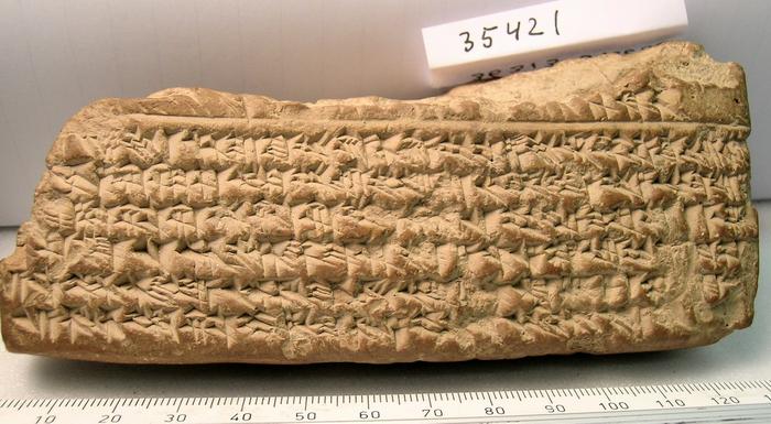BCHP 12 Seleucus III Chronicle (BM 35421), Obverse