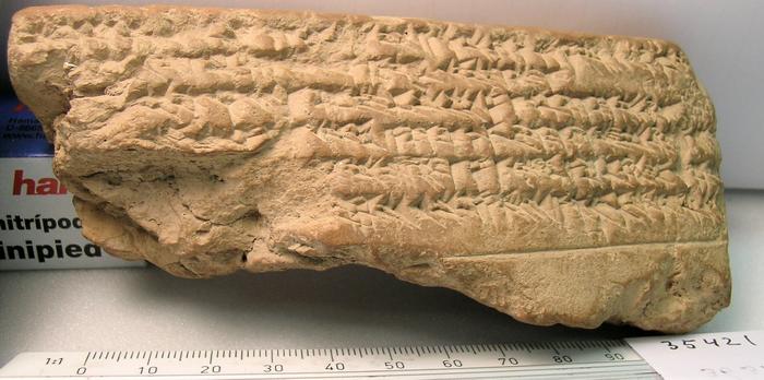 BCHP 12 Seleucus III Chronicle (BM 35421), Reverse