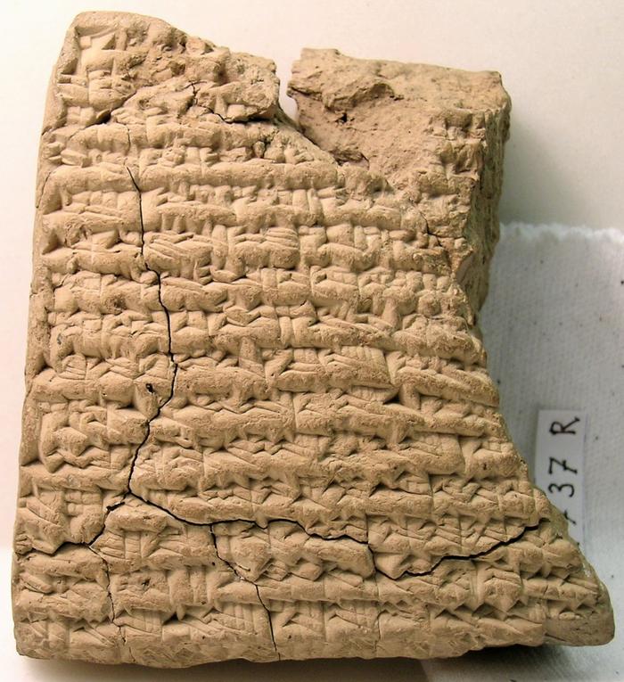 BCHP 17 Judicial Chronicle (BM 47737), Reverse 19-33