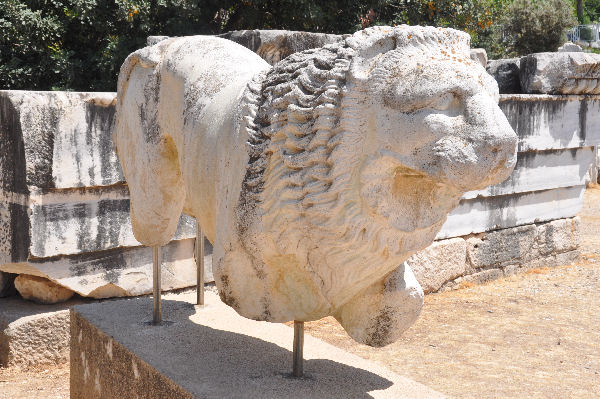 Didyma, temple of Apollo, lion